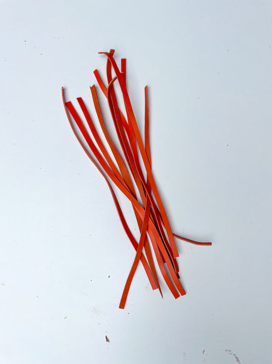 Orange Strips - 10 pieces